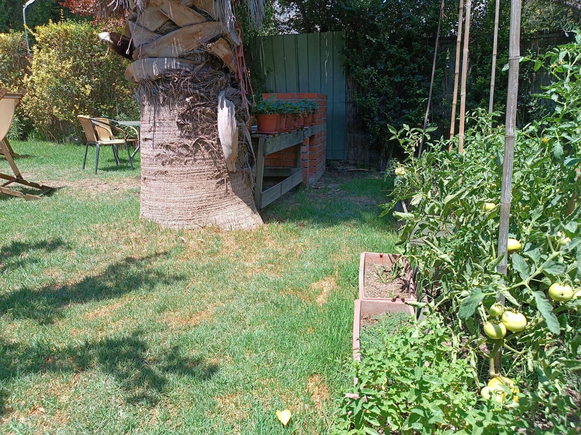 Cabana El Tiempo Es Arte San José de Maipo Exterior foto